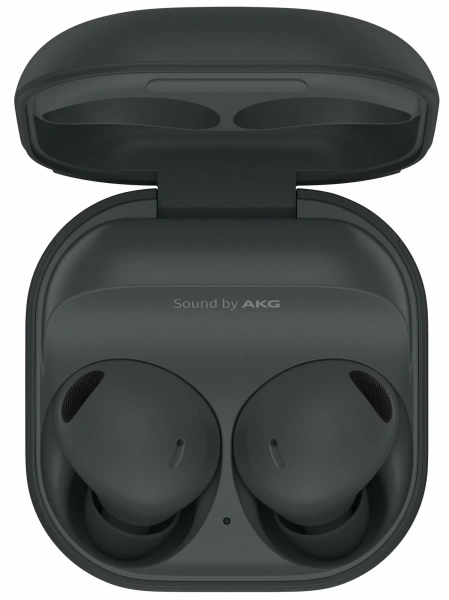 Беспроводные наушники Samsung Galaxy Buds2 Pro (Графитовые)